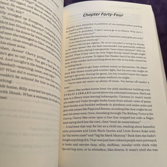 Rapid Dreams by Debbie Kling & Jim Quinn (2024 Trade Paperback) - Picture 6 of 8